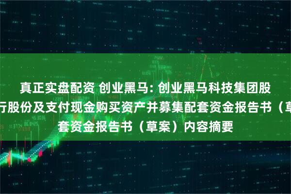 真正实盘配资 创业黑马: 创业黑马科技集团股份有限公司发行股份及支付现金购买资产并募集配套资金报告书（草案）内容摘要