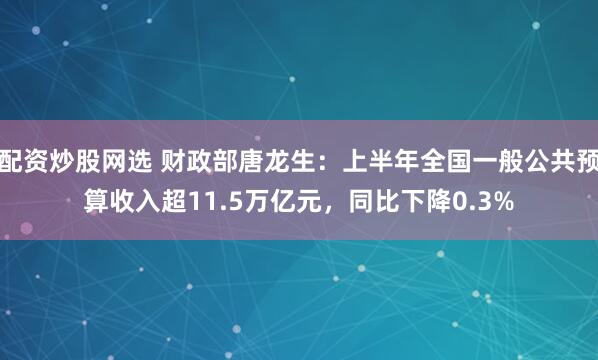 配资炒股网选 财政部唐龙生：上半年全国一般公共预算收入超11.5万亿元，同比下降0.3%